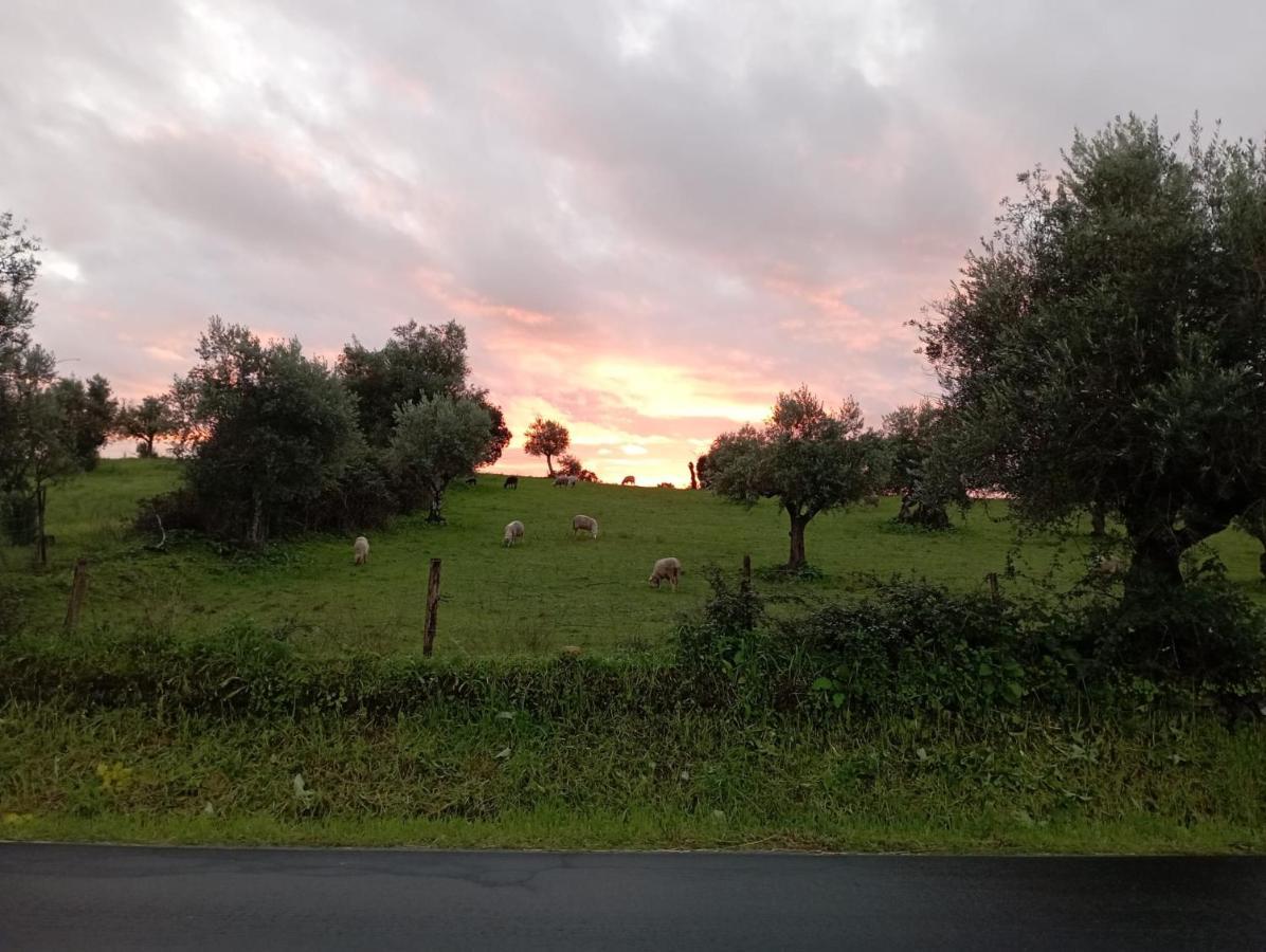 Retiro Da Cegonha Villa Crato Esterno foto